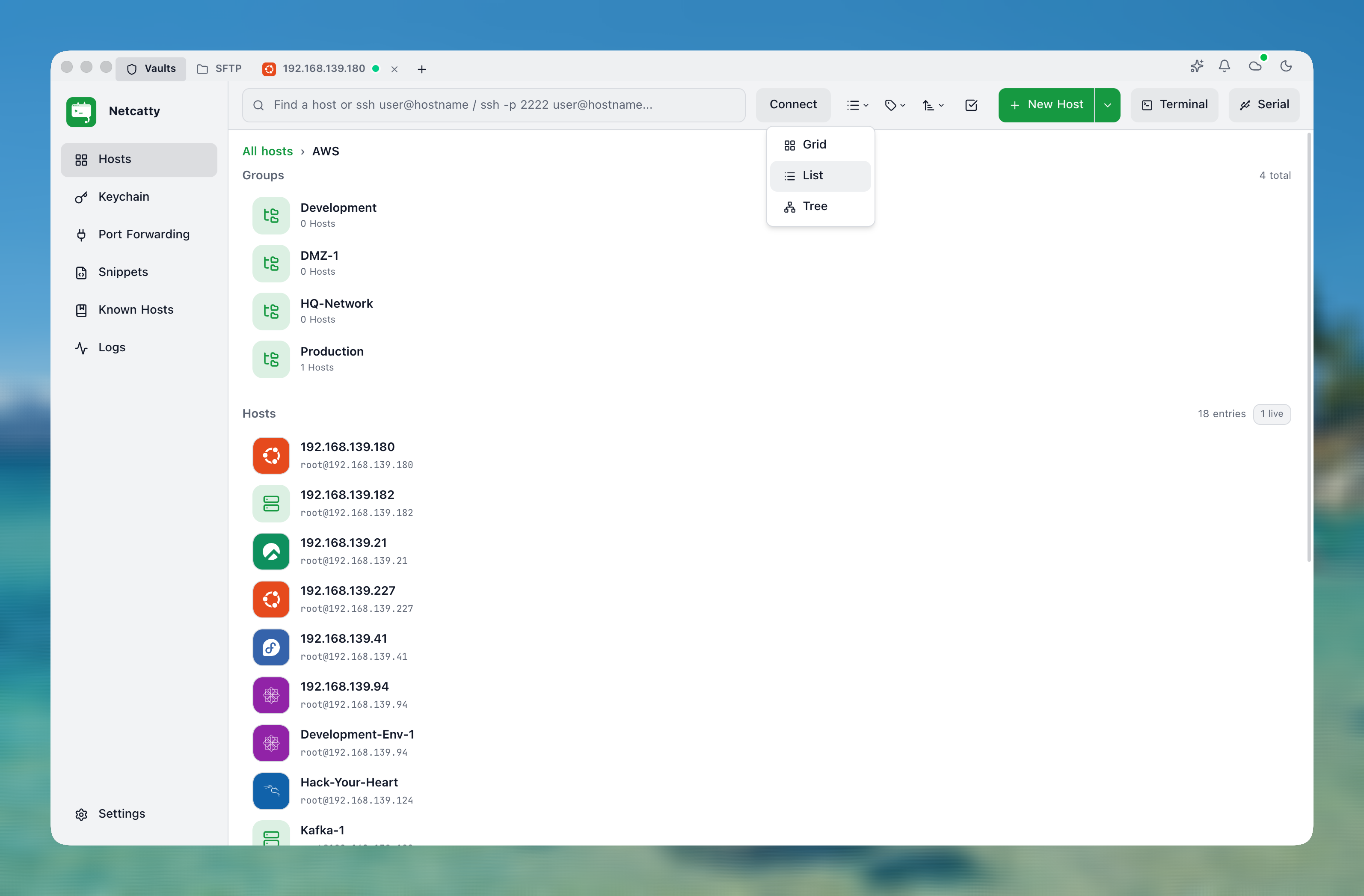 Vault List View