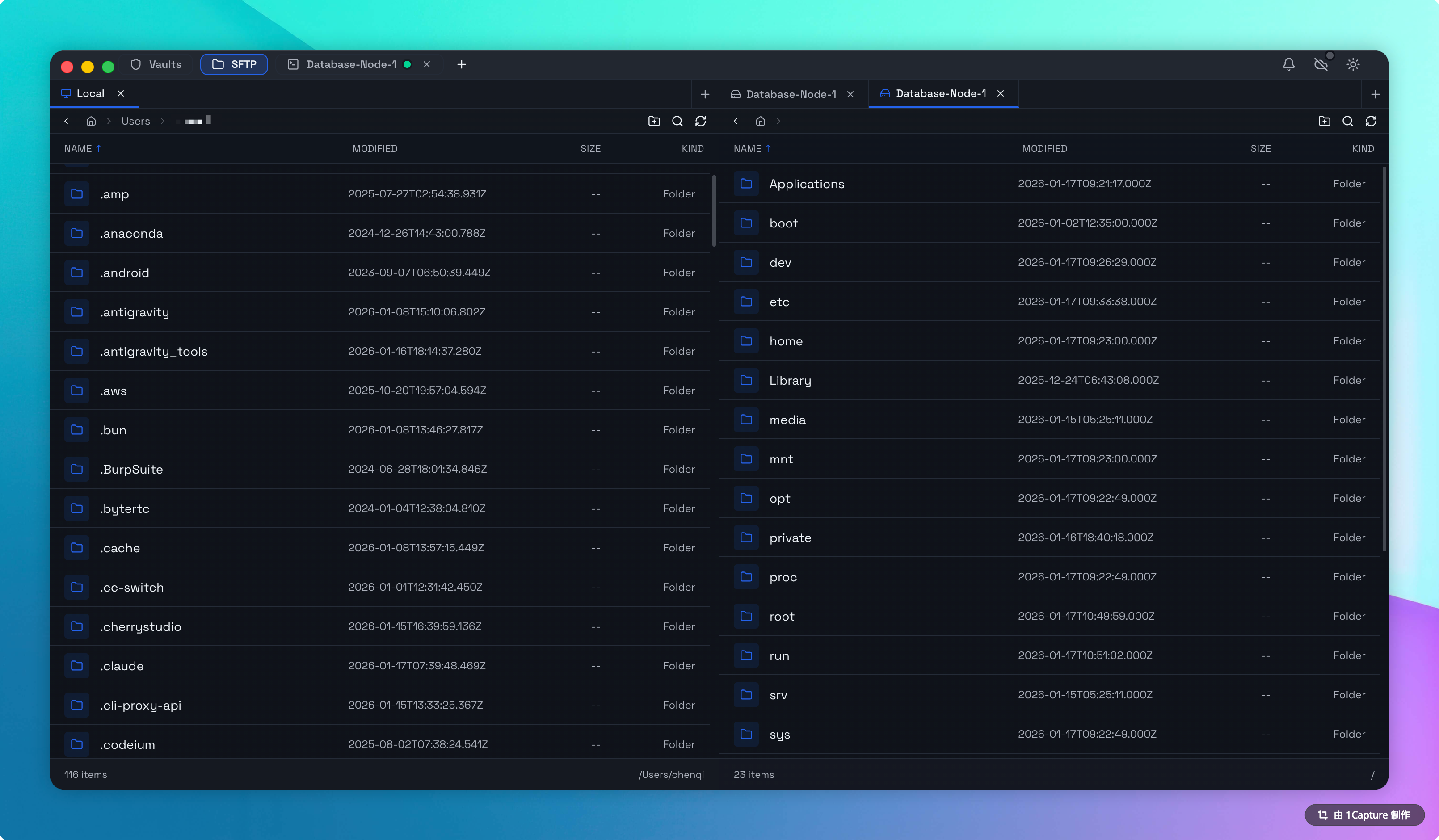 SFTP Dual Pane