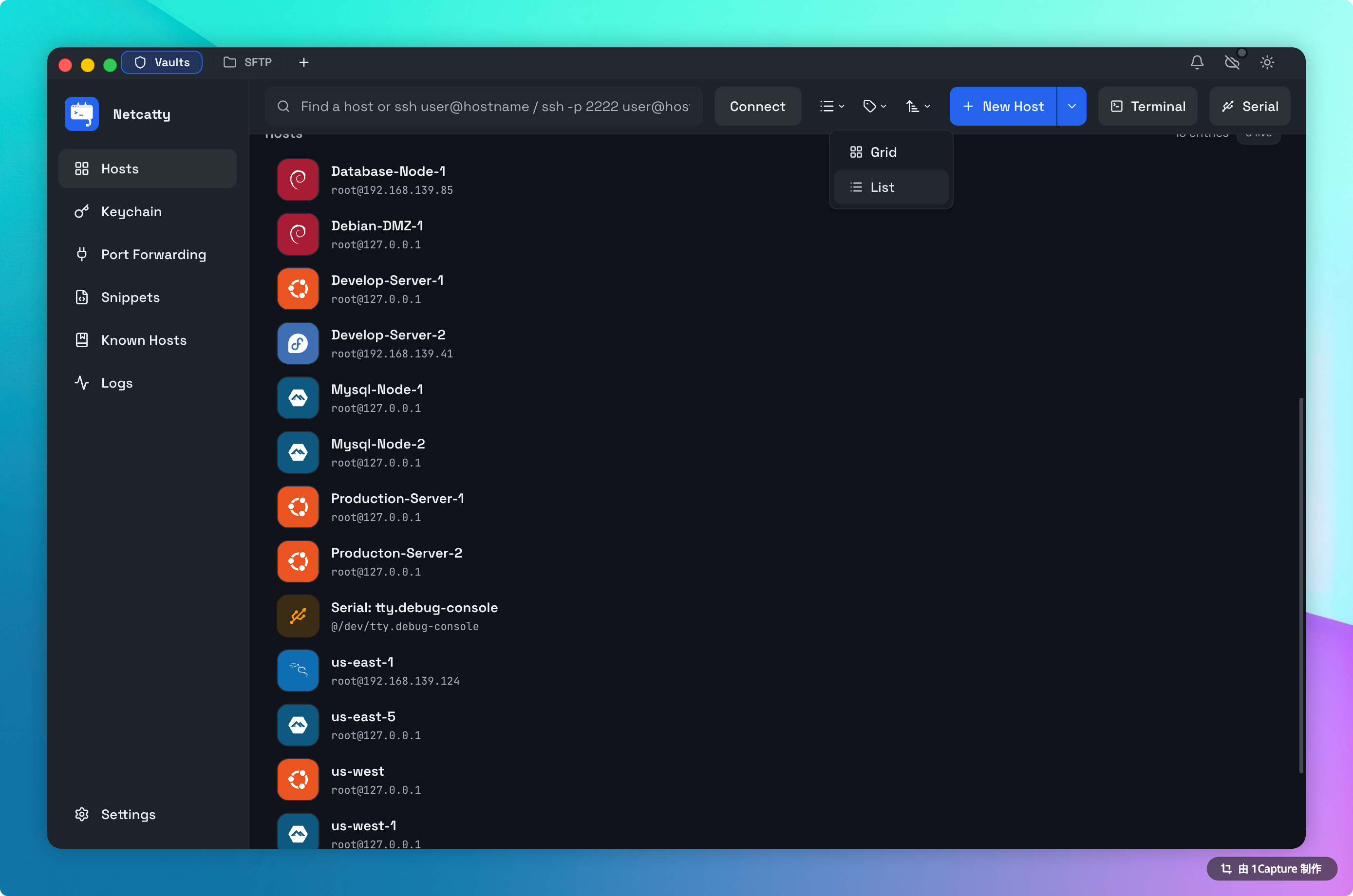 List View